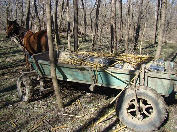 Țigări de milioane de lei, depistate în căruță