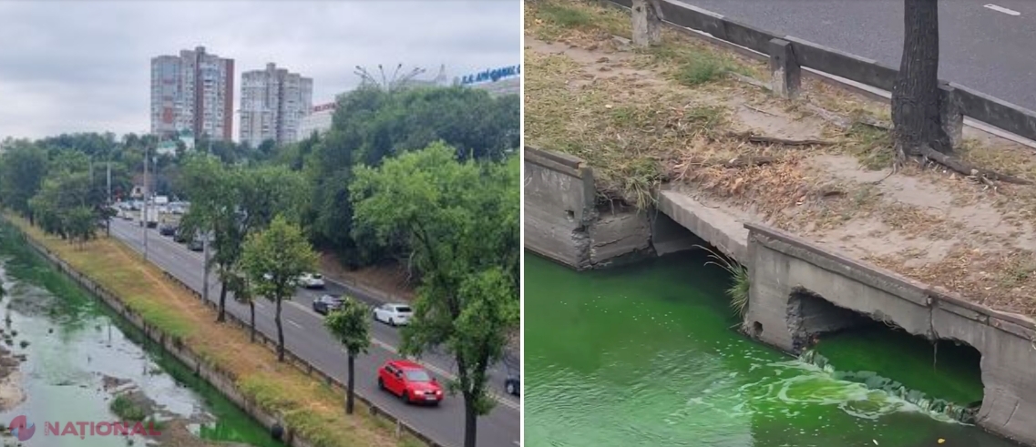 VIDEO FOTO Râul Bâc colorat în VERDE Locuitorii municipiului