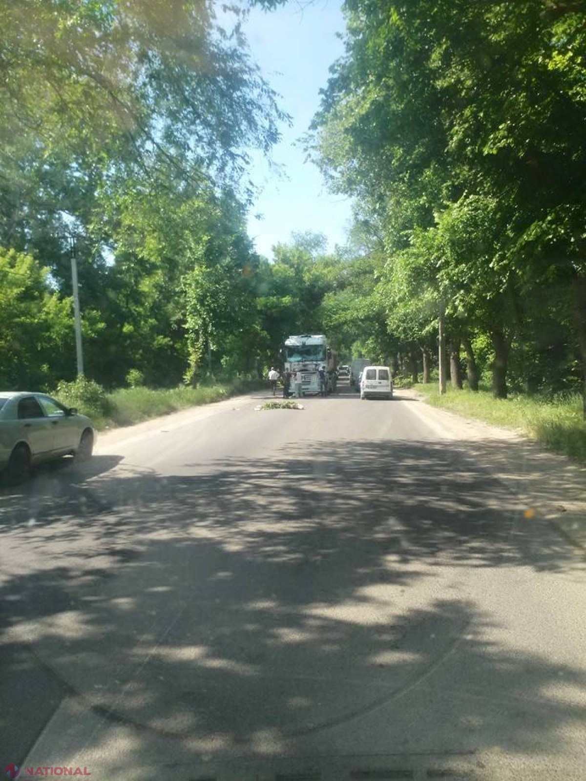 Chișinău // Un copac a căzut din senin peste un camion
