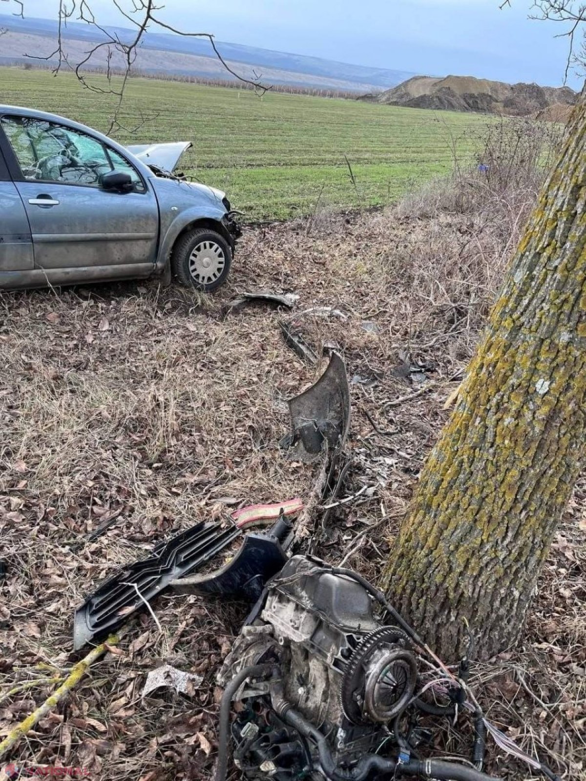 Accident cumplit pe traseul Hâncești - Leova: O tânără a decedat, după ce s-a izbit cu mașina într-un copac