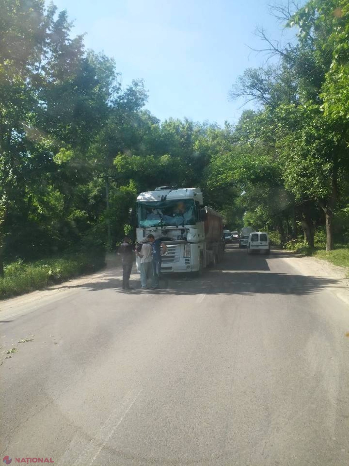 Chișinău // Un copac a căzut din senin peste un camion