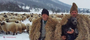 Viața a două familii de ciobani din R. Moldova, REFLECTATĂ într-un documentar autohton
