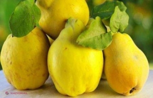 Gutuile, fructe sănătoase de toamnă care combat zeci de AFECŢIUNI 