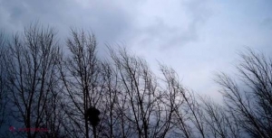 AVERTIZARE meteorologică! Vânt puternic în R. Moldova