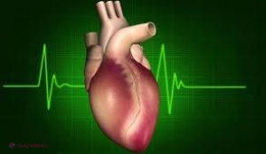 Inima, motorul organismului - un organ nobil de care depinde viața