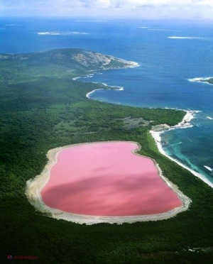Lacurile de culoare roz există! Unde se află acestea 