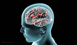 Cinci mari MISTERE ale creierului uman