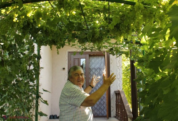 Vila președintelui