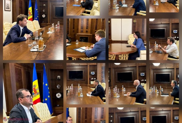 Zarurile au fost aruncate în Cabinetul interimar: Cine dintre miniștri se ține cu dinții de fotoliu, cine „a obosit” și ce i-a pus Vasile Tofan să scrie înainte de ziua de marți