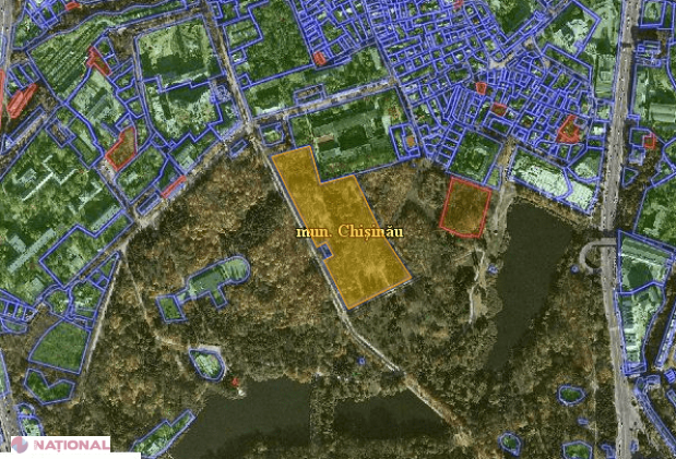 MIȘMAȘURI // Parcul Valea Trandafirilor, CIOPÂRȚIT prin decizii judecătorești FALSE
