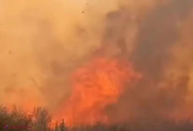 Incendii de vegetaţie în Spania: MAE avertizează românii şi anunţă cod roşu în Comunitatea Valenciană