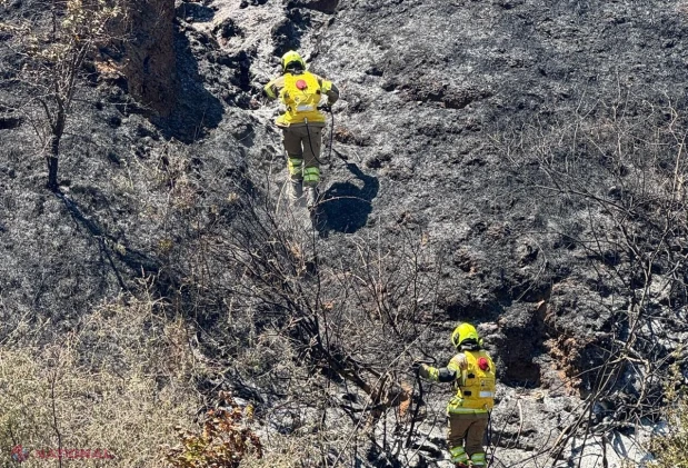 Pompierii moldoveni din al doilea contingent GFFF-V, prima intervenție reușită în Grecia împotriva incendiilor de vegetație