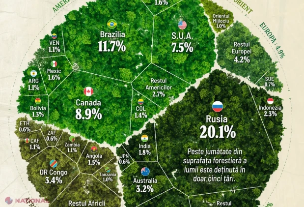 Cum sunt împărțite pădurile lumii și ce înseamnă pentru climă țările cu suprafețe forestiere mici, precum Moldova