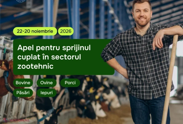 Fermierii pot depune cereri pentru sprijinul financiar destinat producției de carne de bovine, ovine, porc, pasăre și iepure