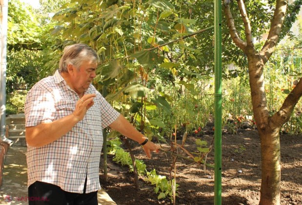 Vila președintelui