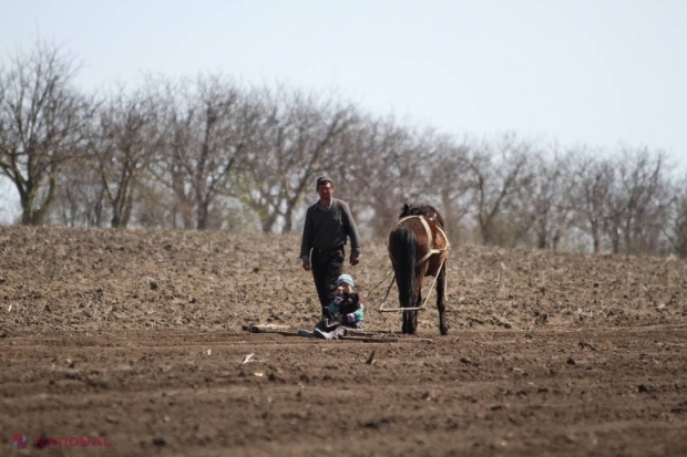 Fermierii moldoveni vor BENEFICIA de zeci de milioane de euro din partea Uniunii Europene