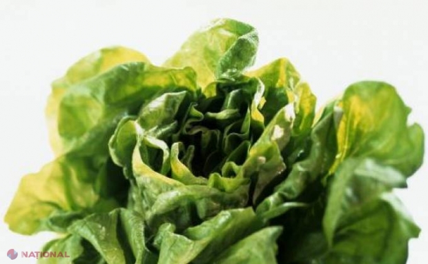Câteva lucruri SURPRINZĂTOARE despre salata verde
