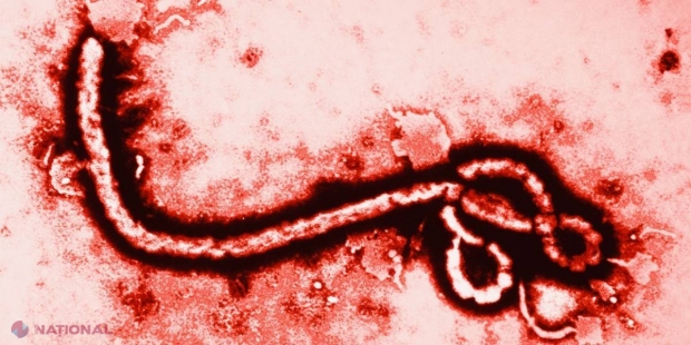 PERICULOS // Ucraina anunță RISC ÎNALT de contaminare cu Ebola