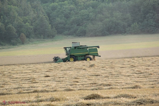 Numai 18% dintre fermierii din R. Moldova și-au primit subvențiile restante de anul trecut