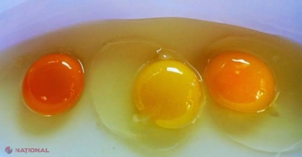 Ouăle care au gălbenușul portocaliu sunt cele mai sănătoase? Explicaţia care dă peste cap tot ce ştiai până acum 