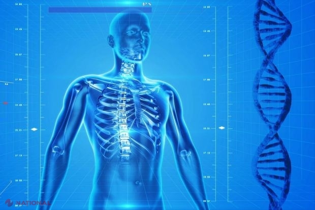 Science Alert // Descoperire neașteptată despre corpul uman