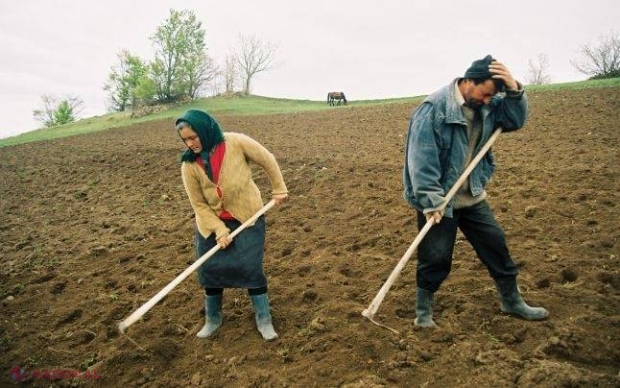 Inițiativă // Două pensii pentru agricultorii din R.Moldova