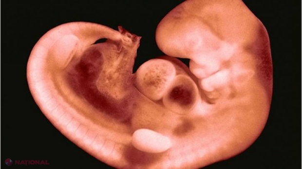 PREMIERĂ în China: Au modificat genetic embrioni umani. Ce probleme etice şi medicale ridică procedura