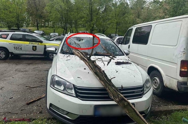 GALERIE FOTO // Mașini avariate serios de crengi și copaci rupți de vânt, în Chișinău