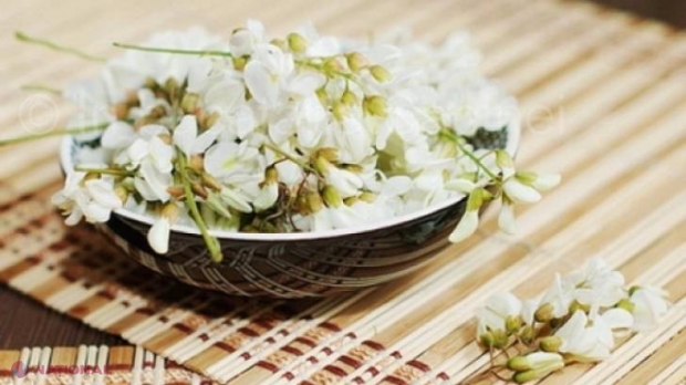 Salata cu flori de salcâm, IDEALĂ pentru combaterea INSOMNIEI