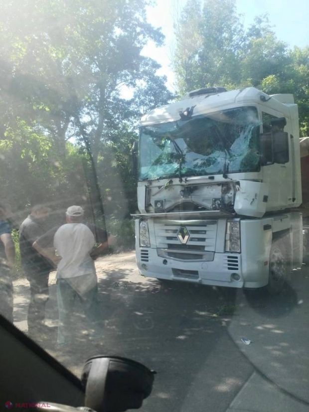 Chișinău // Un copac a căzut din senin peste un camion