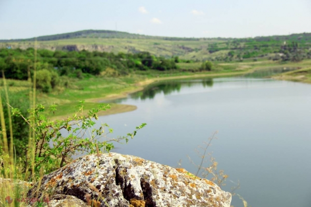 BOGĂTANII // Satul din R. Moldova care atrage vameși, avocați și notari