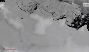 Antarctica se dezintegrează sub acţiunea apei calde a oceanului