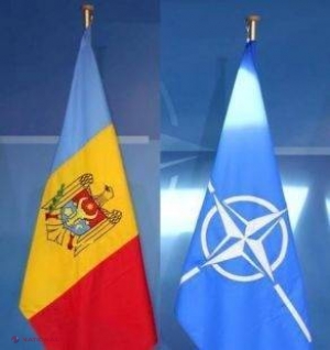 Vizită IMPORTANTĂ la Chișinău. Reprezentanți ai 28 de state membre NATO se vor întâlni cu oficiali din R. Moldova