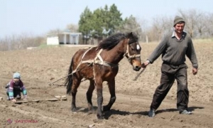 UNDĂ VERDE pentru granturi de 200 de MII de dolari pentru fermieri! Află DETALII