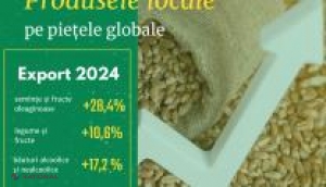 Produsele agricole din Moldova cuceresc piețele internaționale cu creșteri spectaculoase ale exporturilor