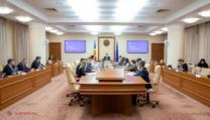 Guvernul Republicii Moldova ia măsuri ferme pentru protejarea teritoriului național de organisme dăunătoare aduse odată cu importurile vegetale