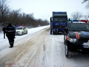 Zeci de AUTOMOBILE, OSTATICE în TROIENE