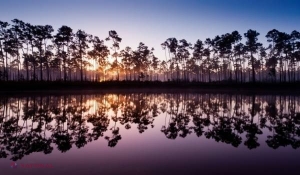 FOTO // Everglades: aventuri în jungla Floridei