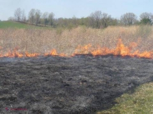 Zeci de incendii în doar 24 de ore. Pompierii recomandă maximă atenţie