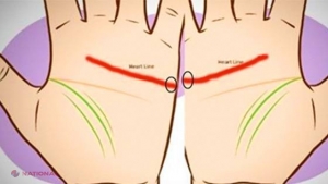 Uneşte palmele şi vezi dacă aceste dungi se aliniază. Ce spune asta despre tine