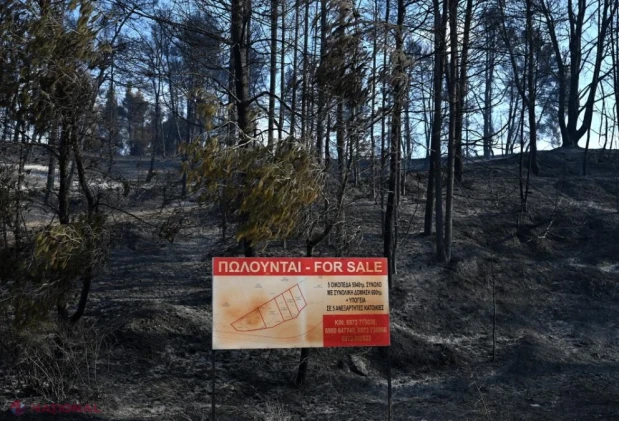Insula grecească Skyros, devastată de un incendiu de vegetație: zeci de pompieri și aeronave luptă să salveze zonele turistice
