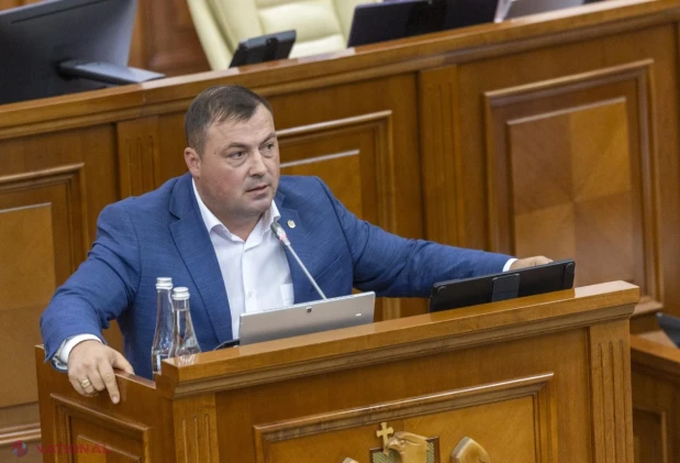 Parlamentul a stabilit criterii mai clare pentru intrarea pe rod a plantațiilor horticole