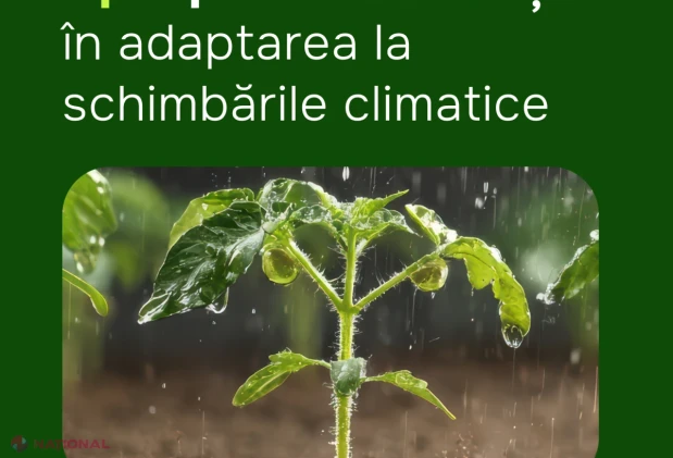 Fermierii pot solicita din 28 octombrie sprijin pentru irigații și adaptarea la schimbările climatice