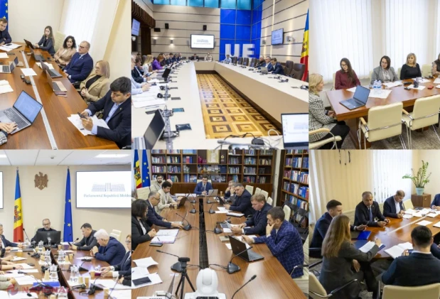 Pensii pentru moldovenii din Irlanda și alte subiecte, pe agenda comisiilor parlamentare