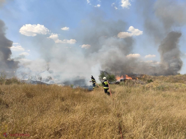 Incendii de vegetație în mai multe localități din țară. Peste 120 hectare de teren au fost compromise de flăcări în doar 24 de ore