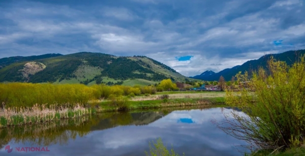 Cel mai mare ORGANISM de pe Pământ este DEVORAT încetul cu încetul! Temerile s-au ADEVERIT