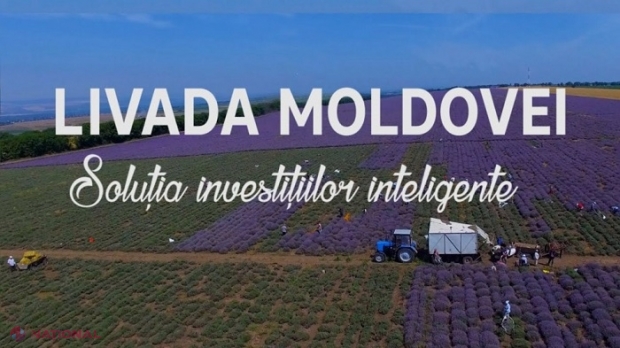 Proiectul „Livada Moldovei”, extins de la sectorul horticol la întreg sectorul agroalimentar: Undă verde pentru negocierile cu BEI 