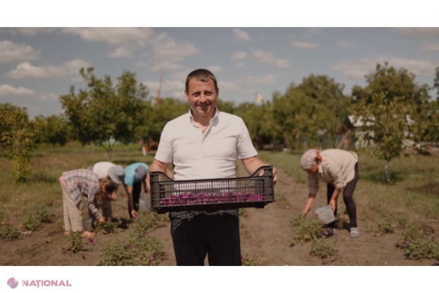 Un antreprenor de la Soroca a renunțat la cultivarea culturilor tradiționale, iar acum își EXPORTĂ produsele în Franța și Germania. De ce oricine poate pune bazele unei afaceri cu plante medicinale BIO în R. Moldova