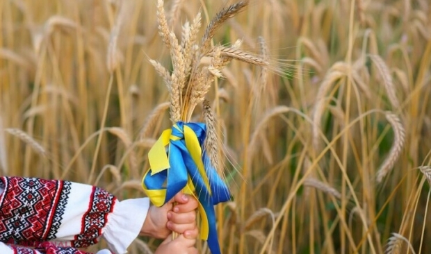 Statele vecine Ucrainei ar putea prelungi embargoul care vizează importurile de cerealele ucrainene