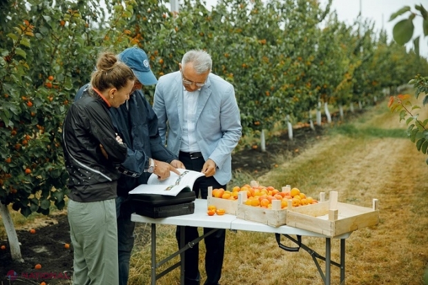 STRATEGIE aprobată de Guvern: Investiții în AGRICULTURĂ de trei miliarde de lei până în 2030 pentru reabilitarea sistemelor de irigare, sporirea producției zootehnice sau a exporturilor agroalimentare 